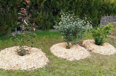 Image d'illustration